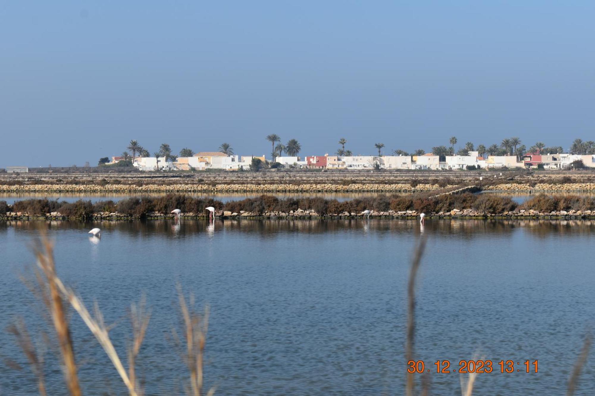 Apart Turisticos Marine Rest La Manga Mar Menor Piscinas Privadas Playa Paraiso  Esterno foto