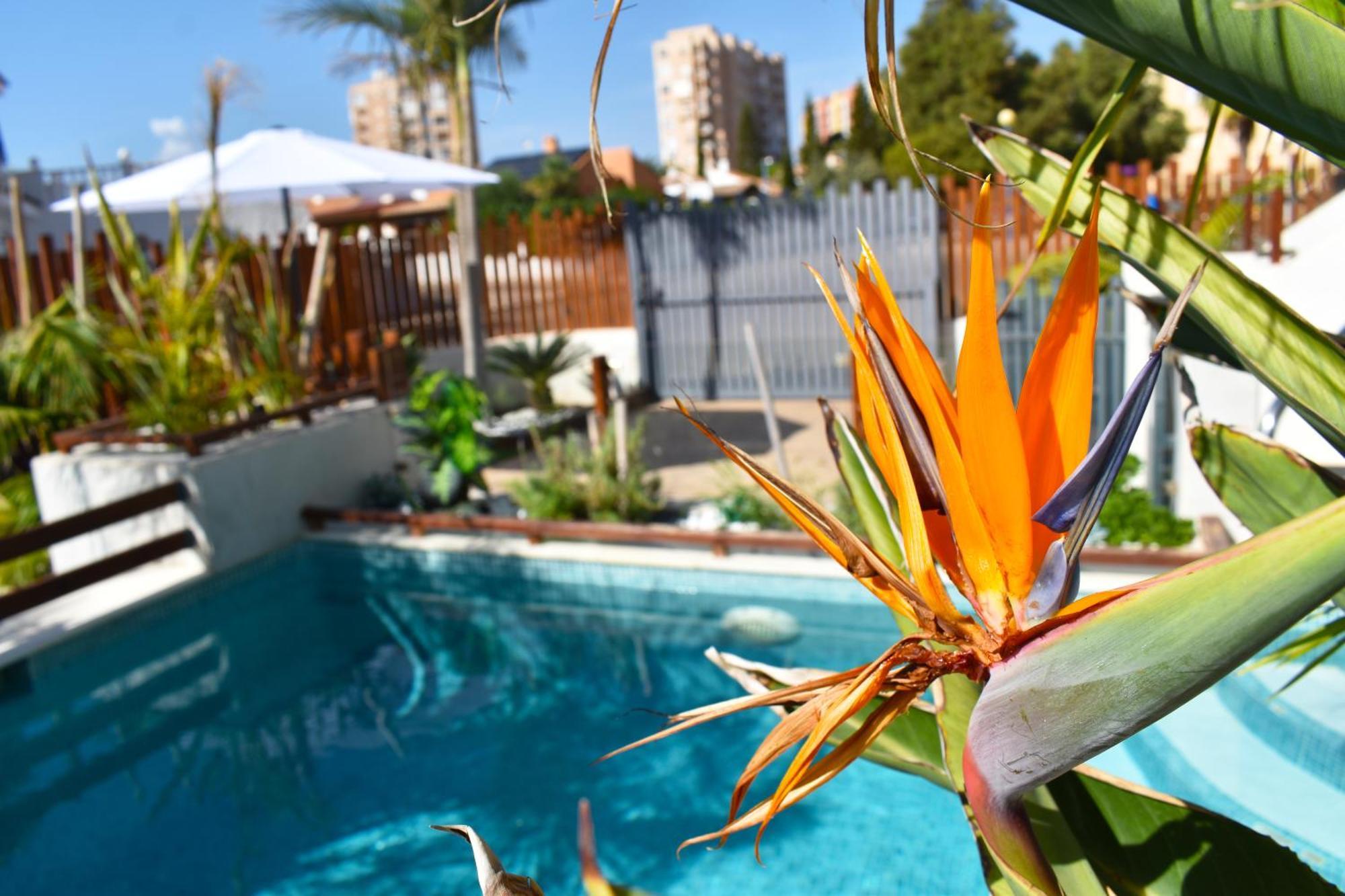 Apart Turisticos Marine Rest La Manga Mar Menor Piscinas Privadas Playa Paraiso  Esterno foto